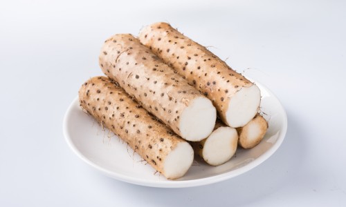 樟子的药用功效-【樟子的药用途是什么】樟子的药用途和功效 - 樟子的药用途网